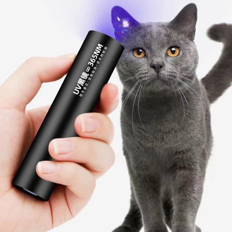 SFC Factory UV Black Mirror Purple Light Detector 365nm AA USB Bright Fluorescent Agent Detection Pen Flashlights Torches