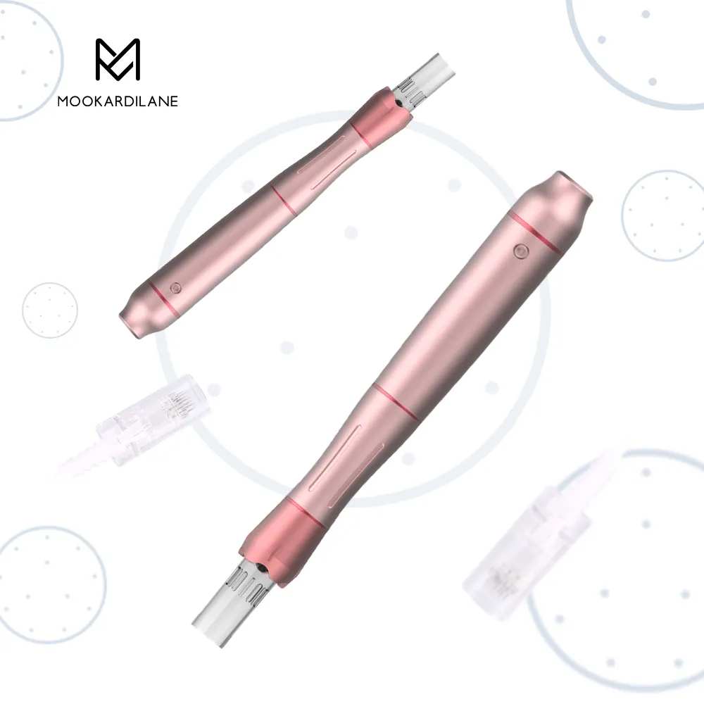 OEM 5 Speed Levels Microneedle Derma Beauty Pen Derma Pen Dermapen Micro Needling Dermapen