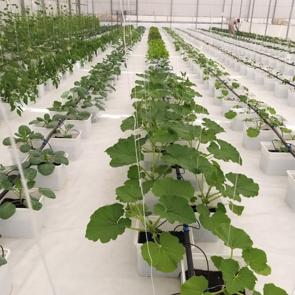 PP&ANTI UV Hydroponic Bucket System Auto Pots Dutch Bato Bucket