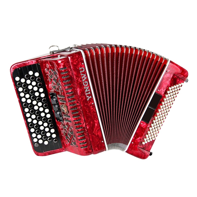 Parrot Brand YW-663 Accordion 69 Key 96BS Adult Beginner Exam Beginner Factory Direct Shipment Red