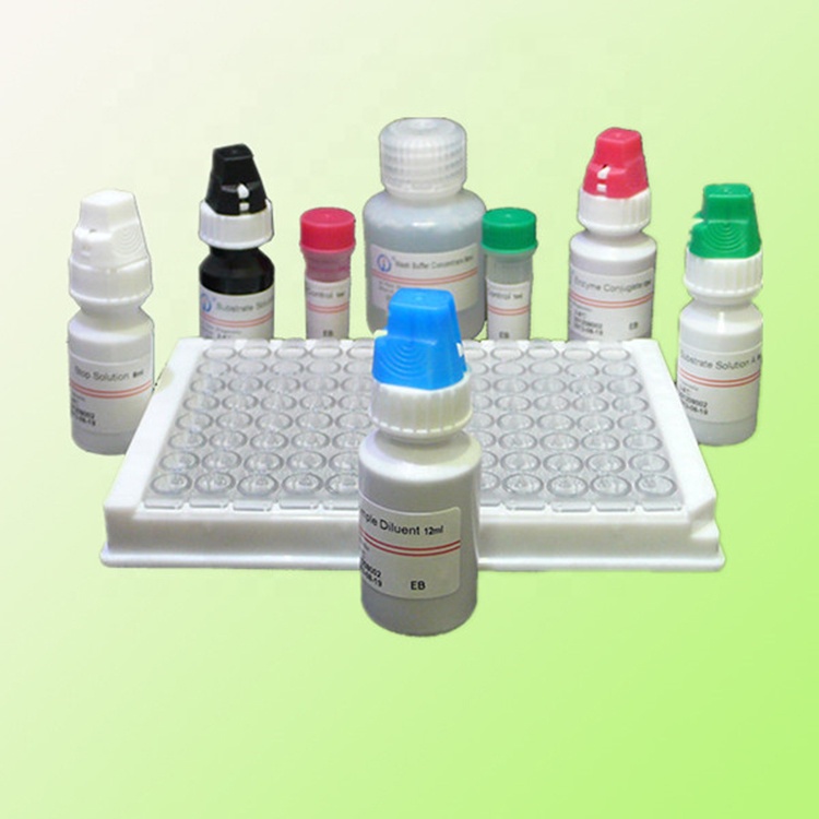 Набор для тестирования на ВИЧ, hcv, tp, hbsag, elisa, обследование крови, тест-реагент elisa