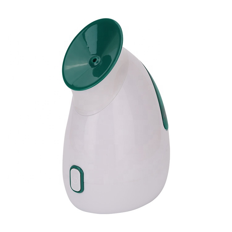 2021 new product facial vaporizer home fruit spa beauty face steamer