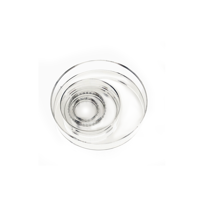 Low Price Multi-size Plastic Precise Cell Culture Petri Dish 150mm