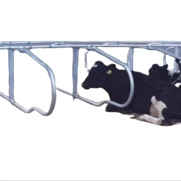 Dairy Farm Management Equipment Durable Cow Neck Lock Galvanized Cow Cattle Headlock