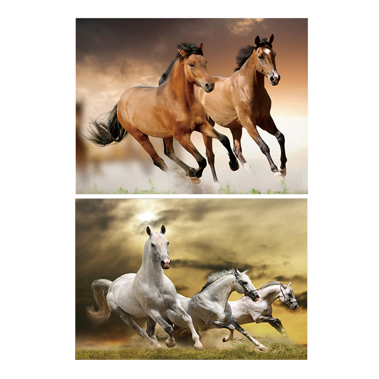2021 Home Decoration Drop Shipping Diamond Painting Horse 5d Diy Diamond Painting