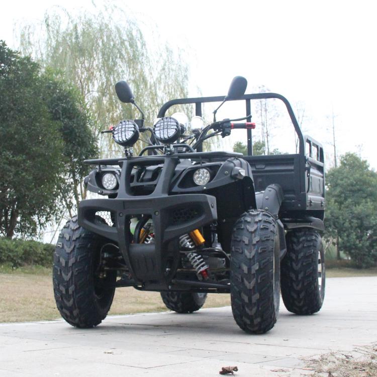 Новый 250 куб. См ферма ATV высокое качество 250 куб. См 4*4 ATV для взрослых