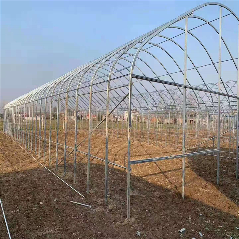 Factory Wholesale Agriculture PE Film Vegetables Greenhouse With Cooling System