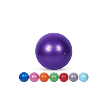 Wholesale PVC thick explosion-proof pelota fitness gym equipment fitnessball 75cm pilates balls