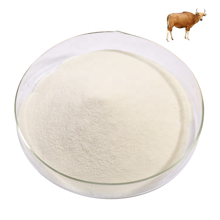 Halal Premium Hydrolysed Bovine Collagen Protein Powder