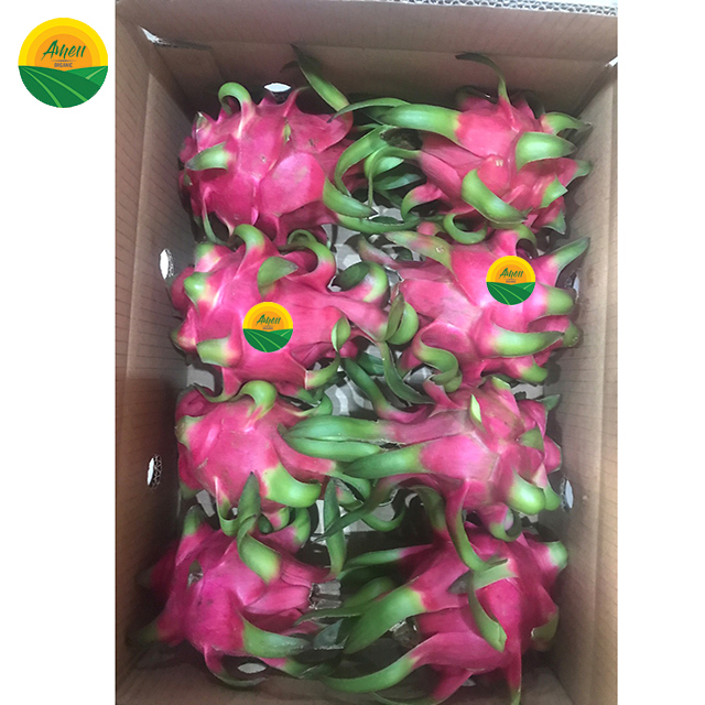 HIGH QUALITY DRAGON FRUIT FOR SALE