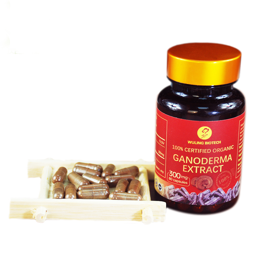 2020 Горячая распродажа! Экстракт Ganoderma Lucidum растительный экстракт капсулы снимает allergiesshell сломанной линчжи Красный Рейши споровый порошок