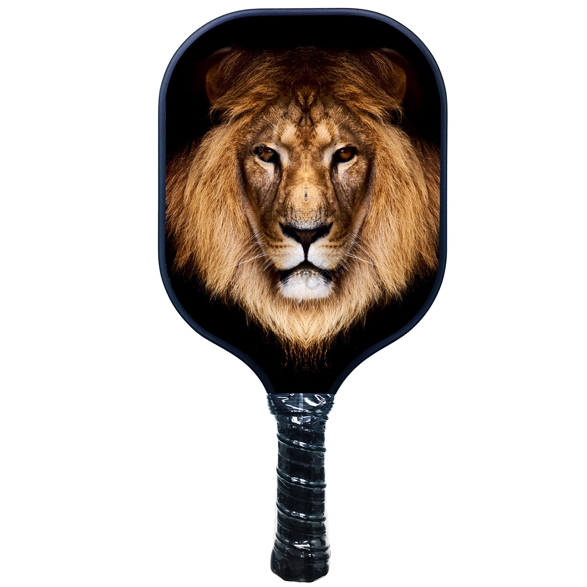 Подгонянный набор paddle графита pickleball