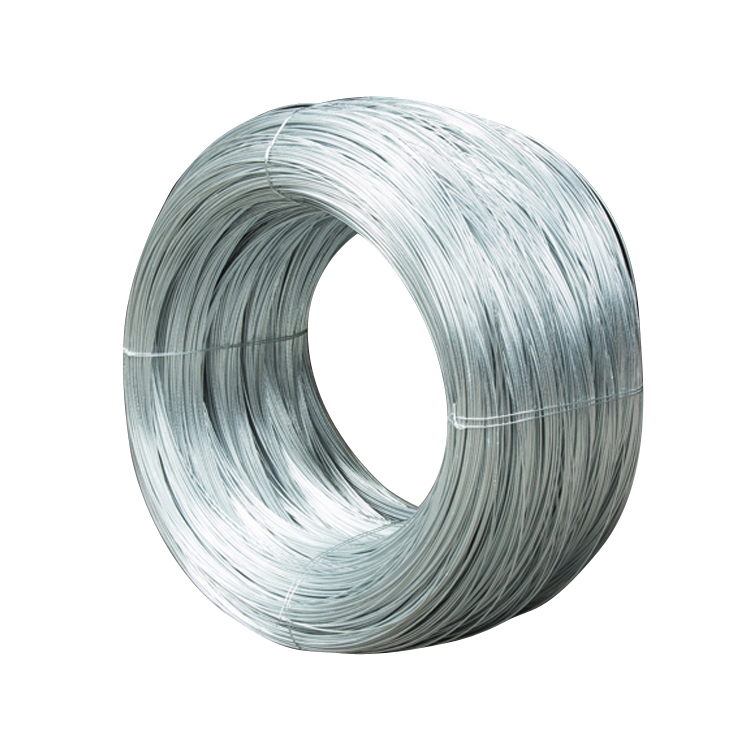 Sae1008 5.5~20mm Nail/screw Making Low Carbon Hot Rolled Steel Wire Rod