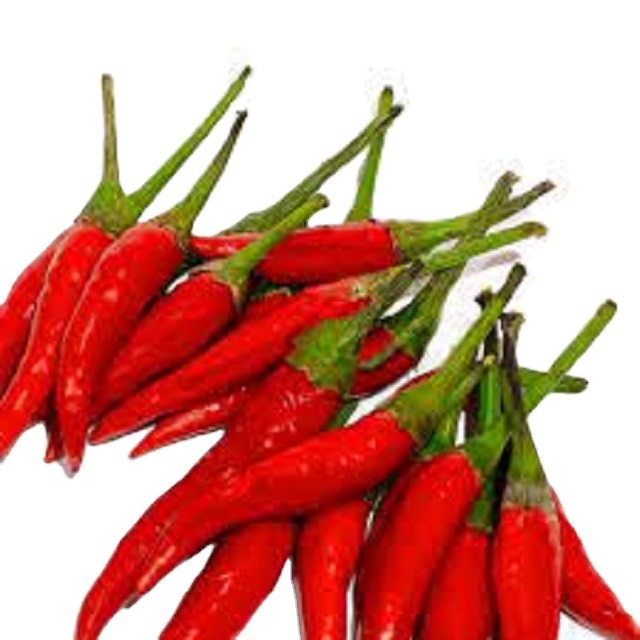 [BEST CHOICE FOR YOU] SUPER FRESH HOT CHILI WITH HIGH EXPORT STANDARD AND COMPETITIVE PRICE FROM VIETNAM_HIGH QUALITY
