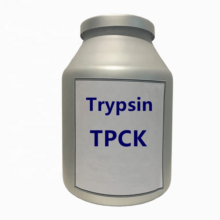 Высококачественный Трипсин TPCK по лучшей цене