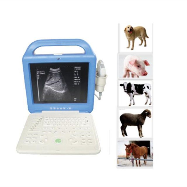 12 inch LCD Monitor Laptop Portable Animals Ultrasound Vet Handheld Ultrasound Machine Veterinary Ultrasound Scanner