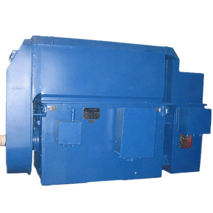 335KW 630KW 1000KW 1600KW высоковольтный синхронный двигатель на продажу