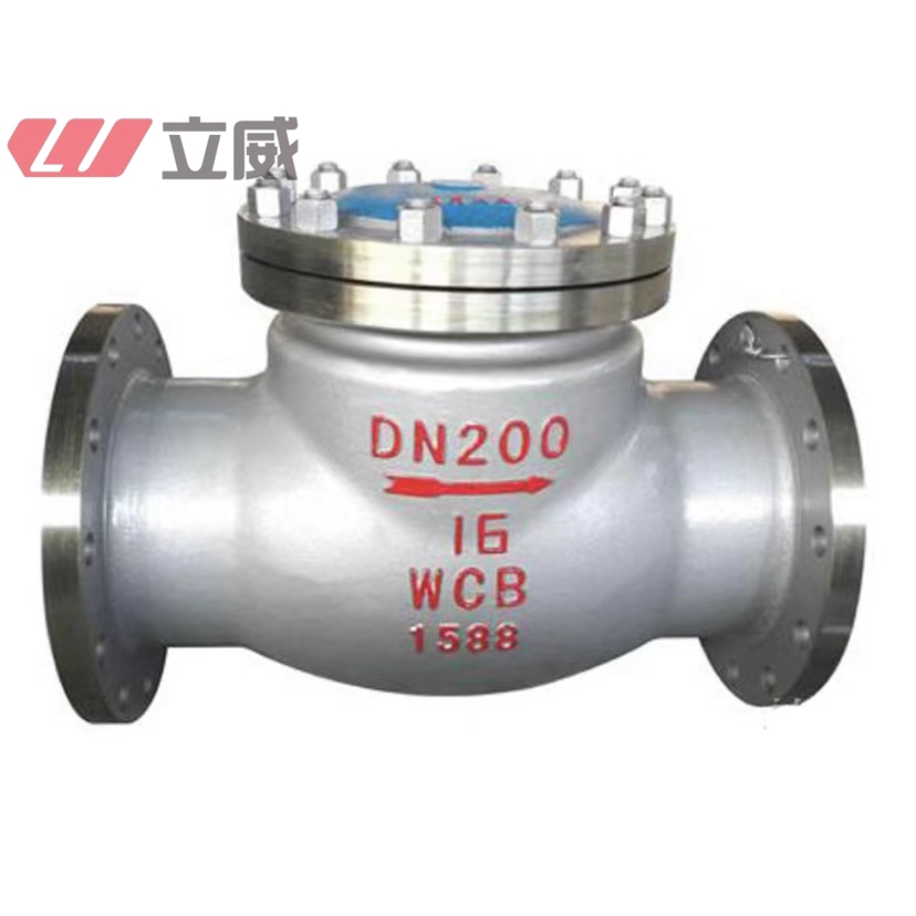 bs dn100 pn16 ductile iron rubber swing check valve