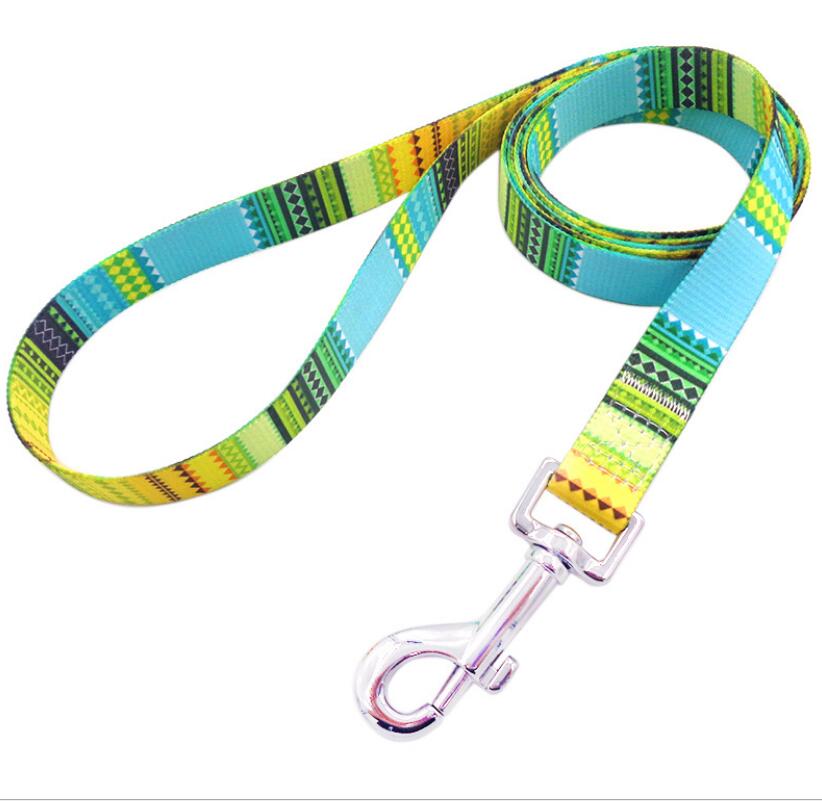 Hot Selling Fashion Breathable Nylon Dog Leash for Different Pets