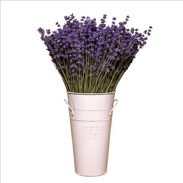 Freshly Harvest Fragrant Lavender Flower Bouquet Dried Flowers For Home And Wedding Decoration