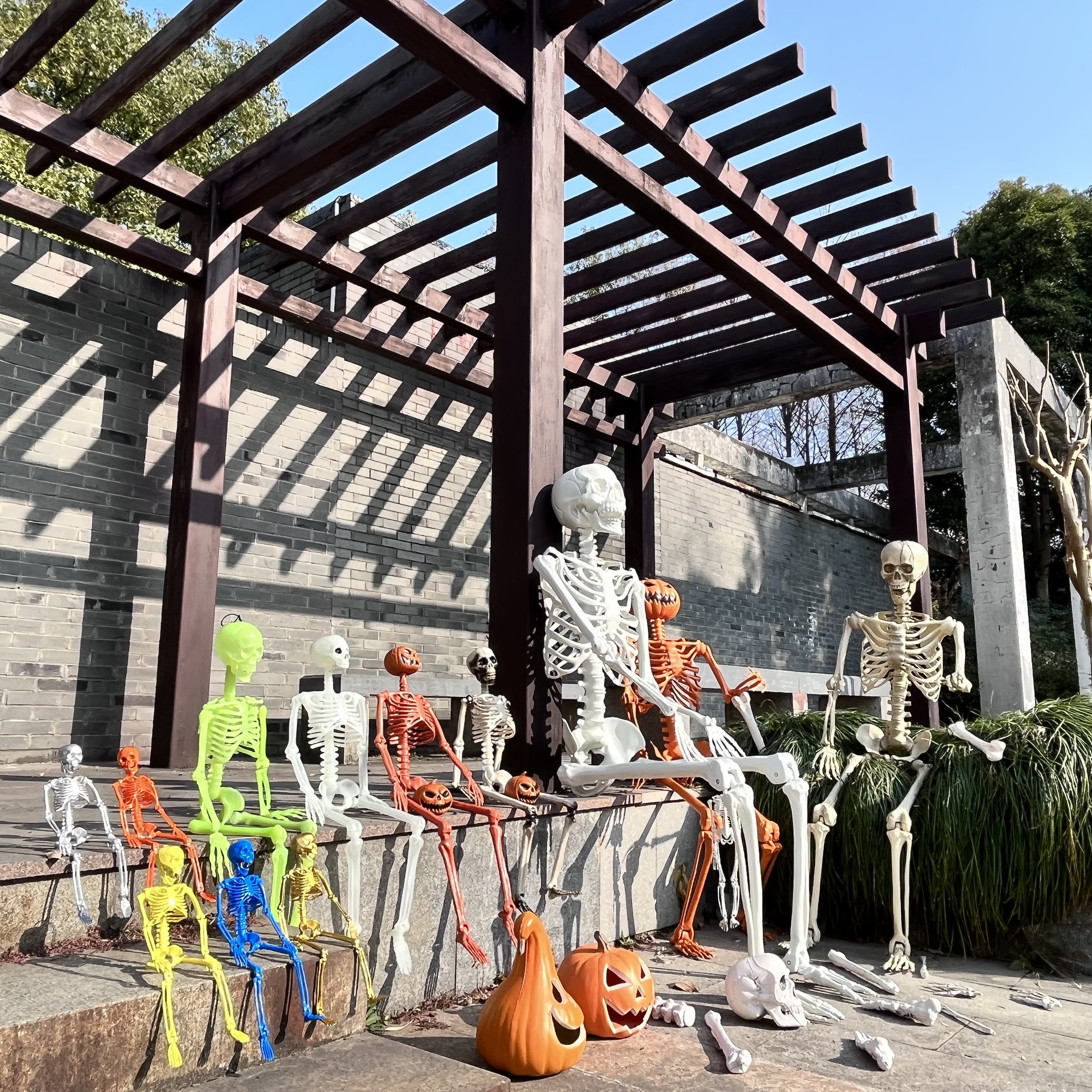Halloween Prop Props Bones 60Inch Realistic Halloween Human Skeletons For Holidays Decoration