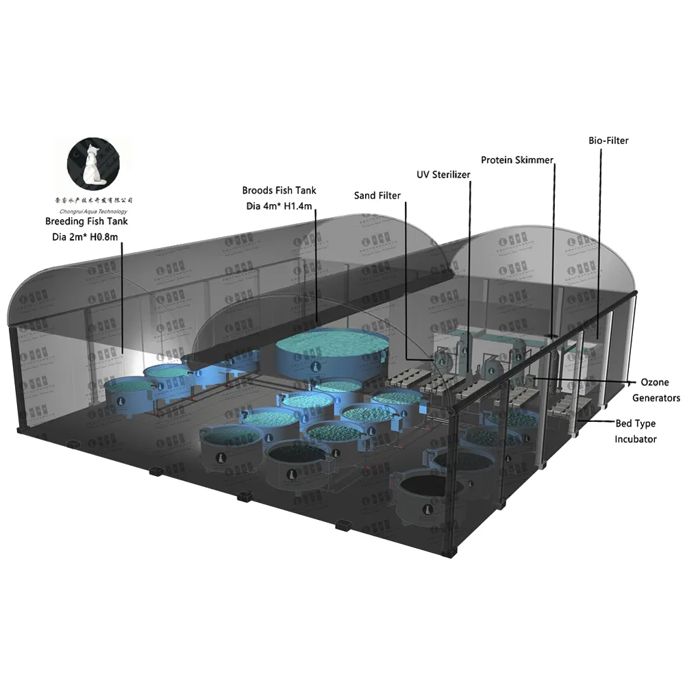 Layout Design for Fish Farm Modern Recirculating Aquaculture System