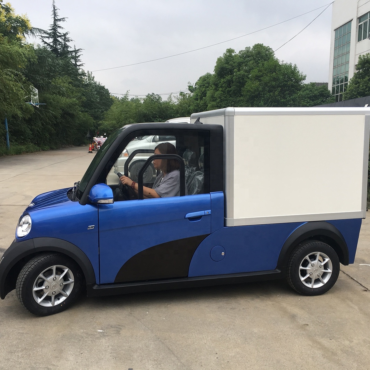 2021 Популярные велосипед/детскй 4-колесный 2-местный новых автомобилей ЕЭС Электрический грузовой фургон
