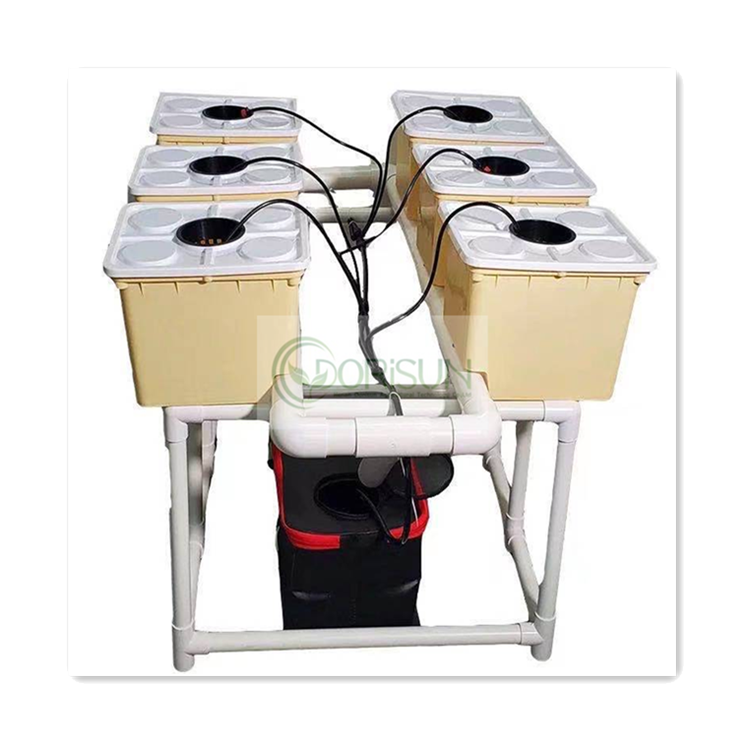 Complete Hydroponic Dutch Bucket System for growing vegetable in greenhouse Aquaponics Growing Systems