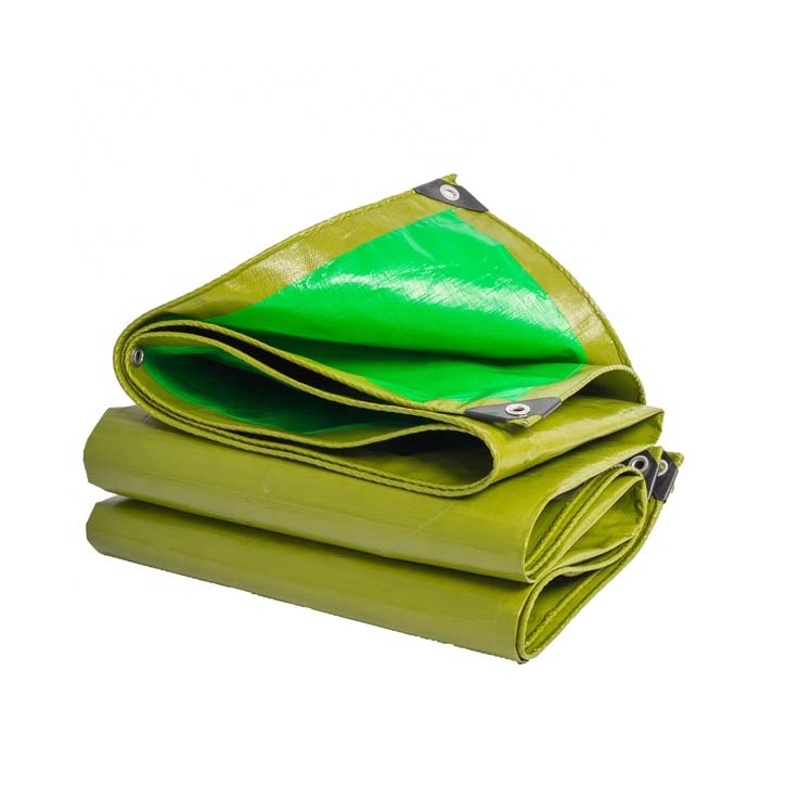 Custom Pe tarpaulin Fabric Tarp Tarpaulin Cover for Truck/Garden