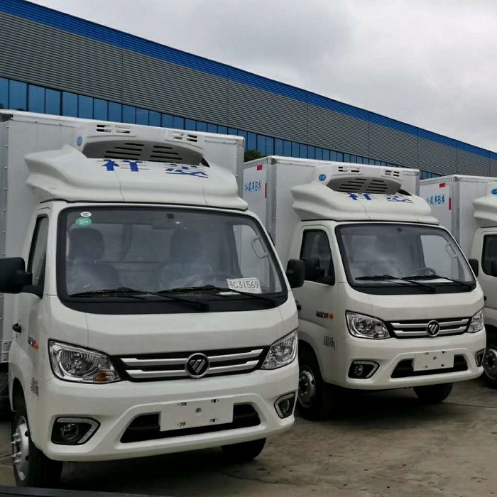 Мини-морозильная камера LHD RHD FOTON для продажи