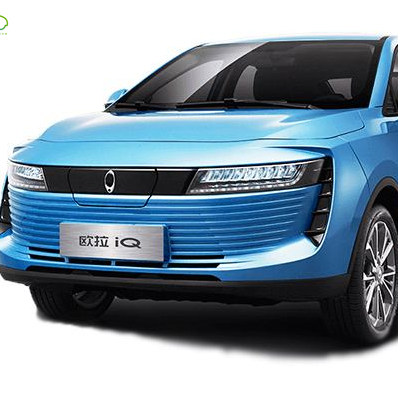 Promotional Custom Logo High Speed Adult Large Space Auto Electric Vehicle Car