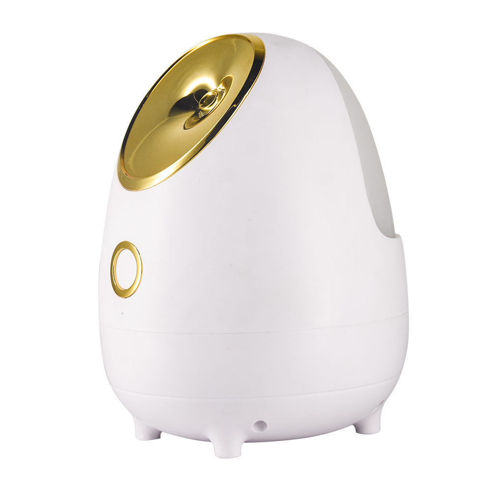 Wholesale Facial Skin Care mini ionic facial steamer home use vaporizer facial steamer