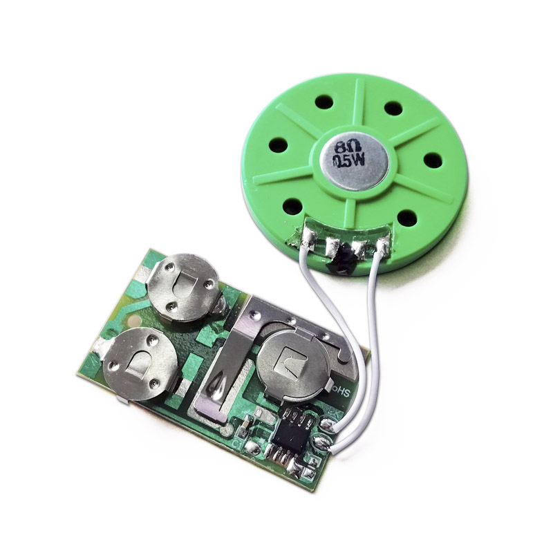 Recordable Sound Chip/Custom Voice Module