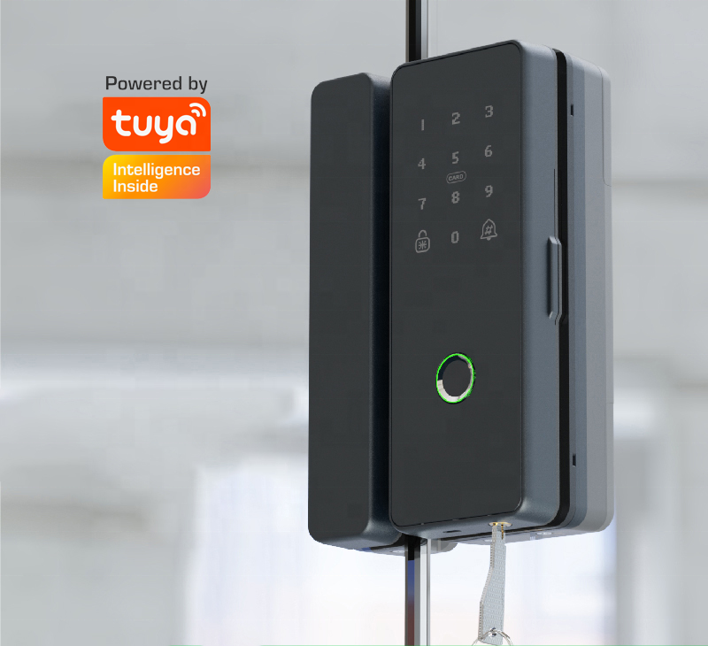 Electronic Ferreteria Tuya App WiFi Wireless Remote Control Smart Lock Door Fingerprint Digital Sliding Door Lock With Keys