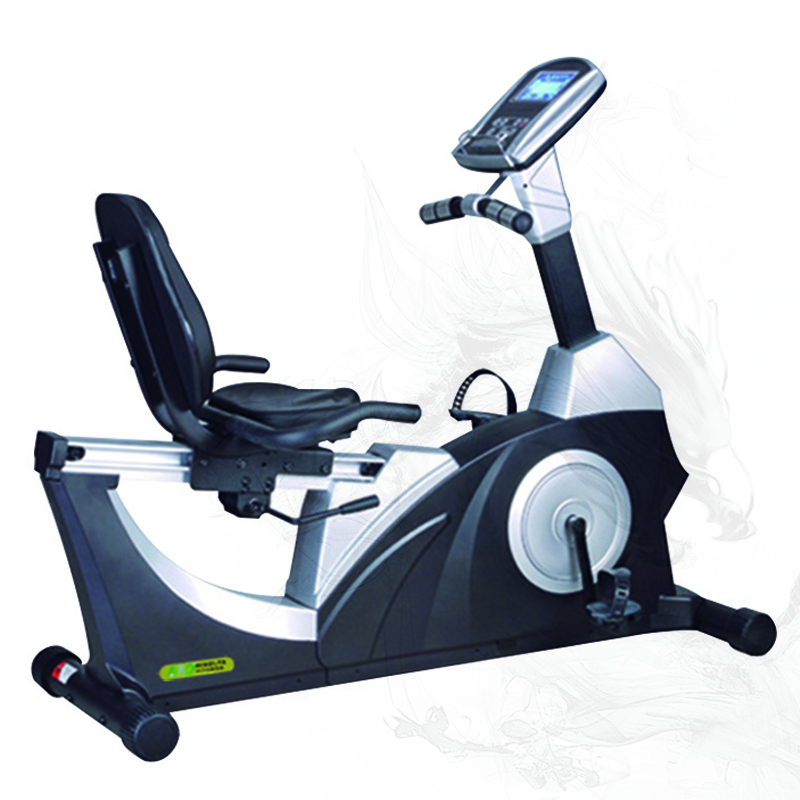 MND C04 Exercise Bike Gym Equipment Home Cardio Exercise Machine Sports Fitness Equipment China