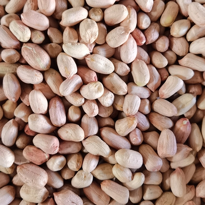 High quality Non-GMO raw peanut kernel for sale