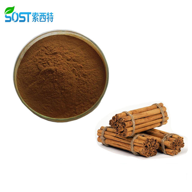 Xi`an SOST Wholesale Organic Ceylon Cinnamon Extract Powder