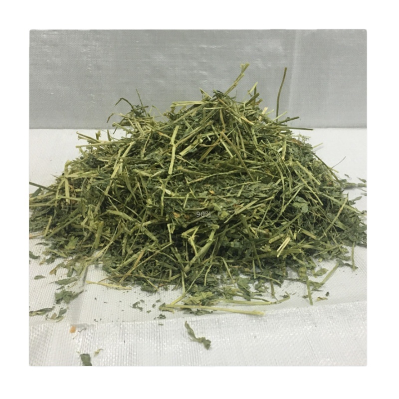 Big bales small bales Premium alfalfa hay for sale