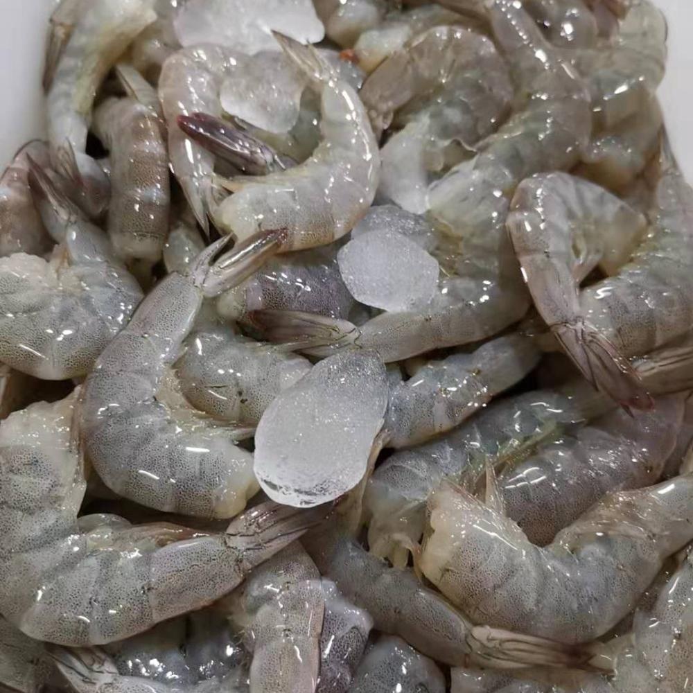 Замороженные креветки vannamei оптом и морепродукты