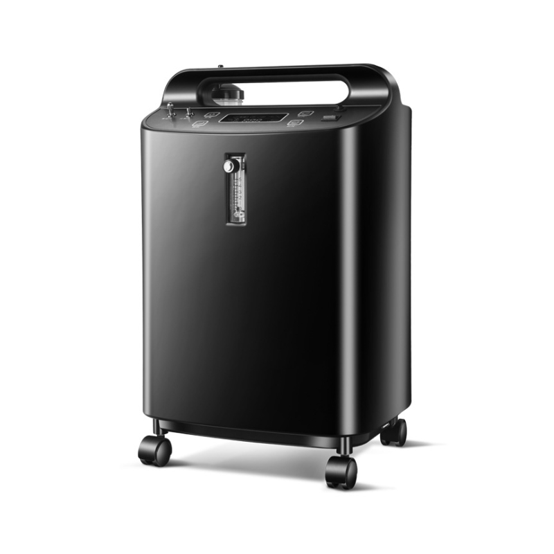 Китай CE ISO XY-6S-10 generador де oxigeno 10 litios подходит для высокое msm площадь hongxinyuan кислородный concentrador 110V 220V