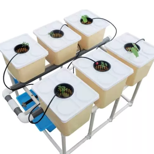 Agricultural Greenhouse Hydroponic System Dutch Bucket System for Sale