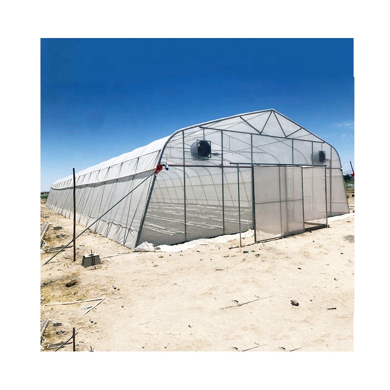 low cost greenhouse Easily Assembled hot galvanized steel pipe Greenhouses for sale