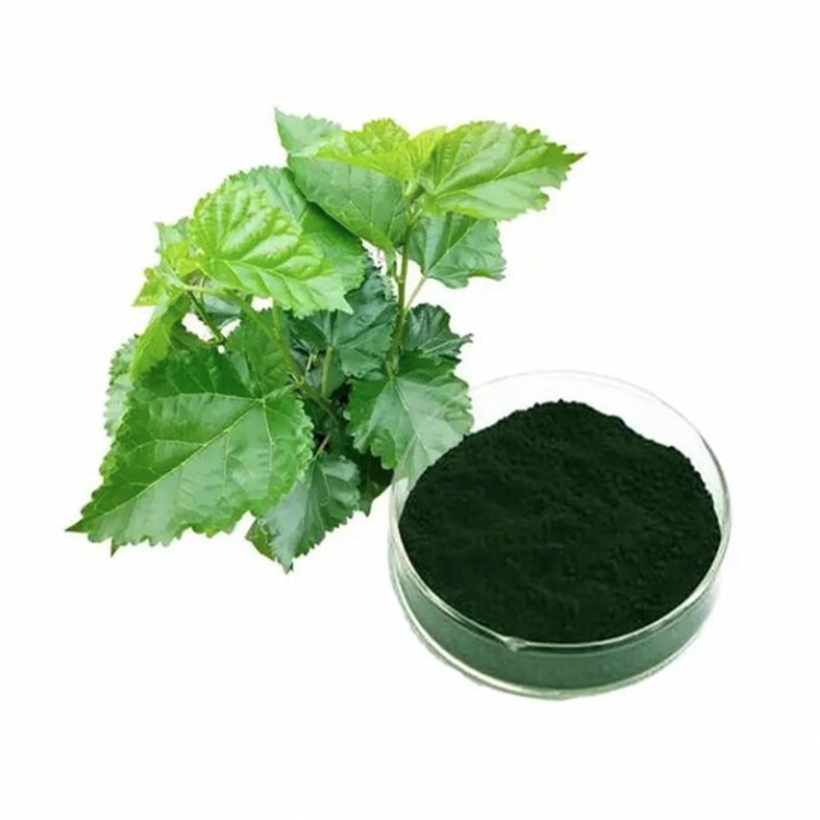 Chlorophyllin Copper Complex Sodium Salt 98% Mulberry Leaf Extract CAS 11006-34-1