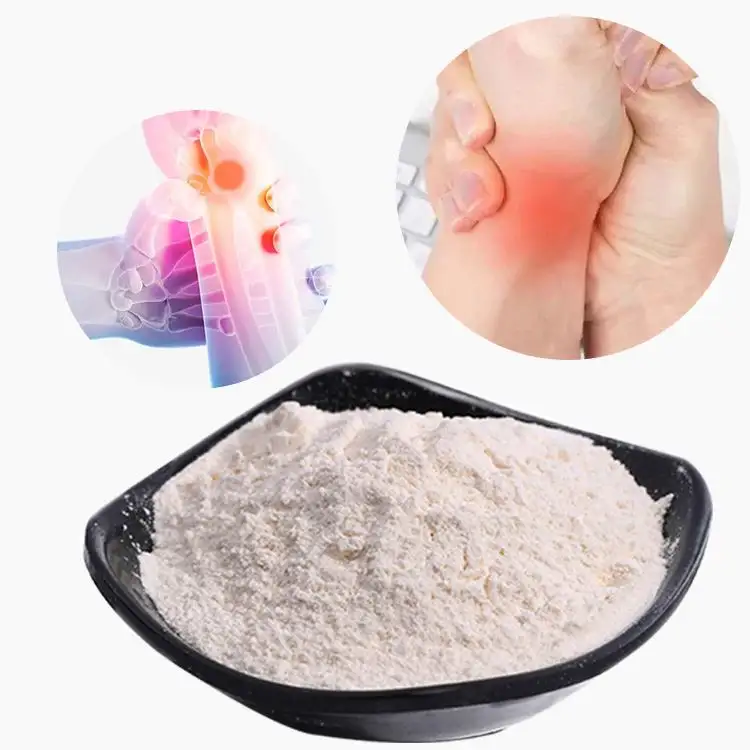 Anti Osteoarthritis Raw Material Fish Sulfate Chondroitin Food Grade Chondroitin Sulfate Powder