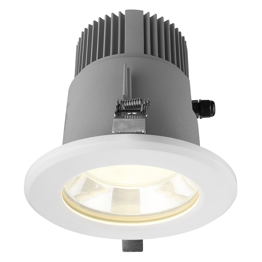 Factory Wholesale Premium Design Residential Outside IP65 Led Recessed Downlight 30W 40W 50W Outdoor Downlights Led Downlight