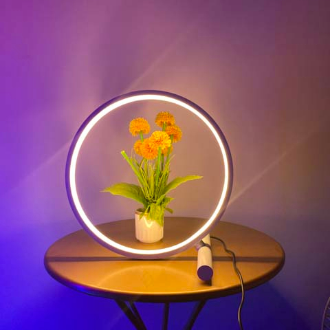 Chuse Amazon 2021 Nordic RGB LED, круглая настольная лампа, ночник, современные товары для дома, настольная лампа рядом с кроватью