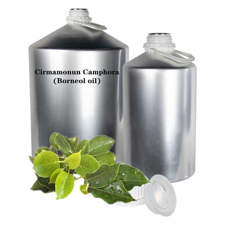 Wholesale Bulk Cirmamonun Camphora Oil Borneol Essential Oil For Aromatherapy