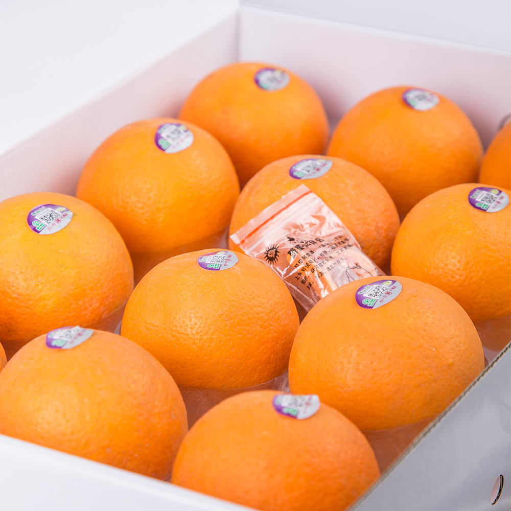 Fresh Oranges/Valencia And Navel Fresh Orange/Fresh Valencia Orange