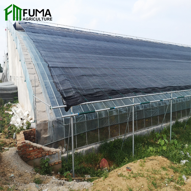 FUMA Agricultural The Cheapest Solar Greenhouse Technology