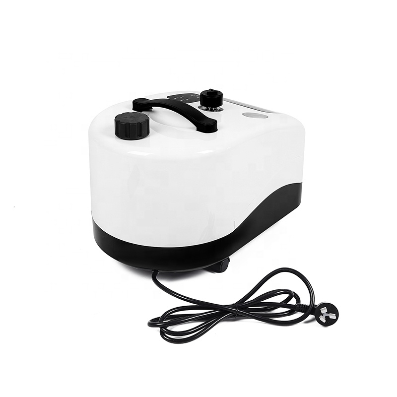 2.5L Boiler 5bar 1800W High temperature car washer hot steam engine cleaning dry and wet steam cleaner
